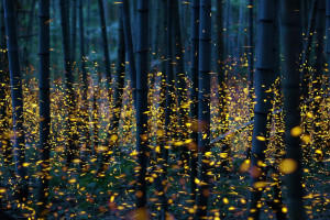 无畏契约新特工登场，技能组颠覆传统战术体系！