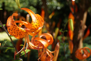 再见，我的偶像！与退役巨星的最后一次深度对话，泪洒现场