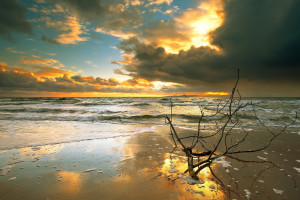 荣耀之路！英魂之刃赛事回放，记录了多少汗水与泪水！