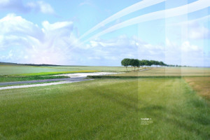 备受瞩目！官方公告公布电竞选手激励计划，前景光明！